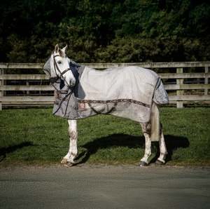 2025 Brown Nylon Mesh Detachable