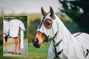 Horse Summer Rugs: Blue & Grey Check Summer Show Set