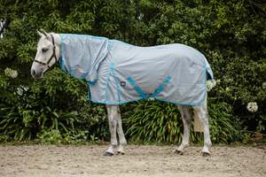 Horse Summer Rugs: Grey/Aqua Mesh Combo