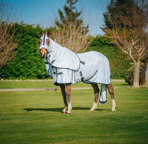 Horse Summer Rugs: Baby Blue Mesh Show Set