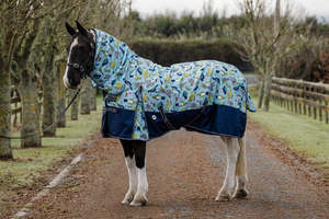 Horse Between Rugs: 1200D No Fill Kiwi Bird Combo NZ 6.0