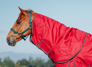 Horse Between Rugs: Spare Neck Rugs – NZ 4.3 – 5.6