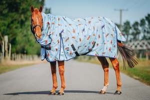 Horse Between Rugs: 1200D No Fill Sydney Antics Combo