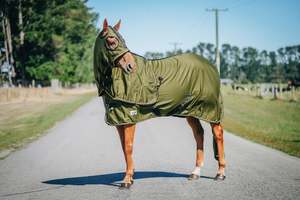 Horse Stable Rugs: Olive Summer Show Set