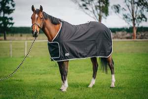 Horse Stable Rugs: Classic Trophy Rugs – Black