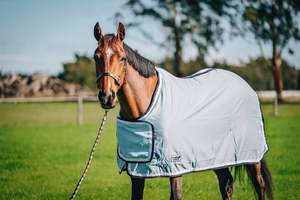 Classic Trophy Rugs – Blue