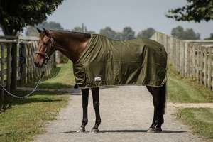 Horse Stable Rugs: Classic Trophy Rugs – Olive
