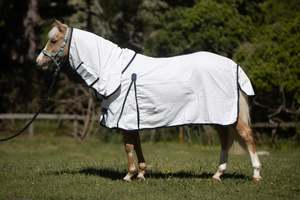 Summer Combo – Classic (Pony)