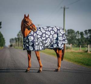 Pony Between Rugs: 1200D 100g Speech Bubble Rug Only (pony)