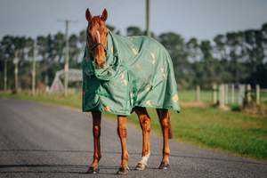 Pony Between Rugs: 1200D 100g Pop The Champers Rug Only (Pony)