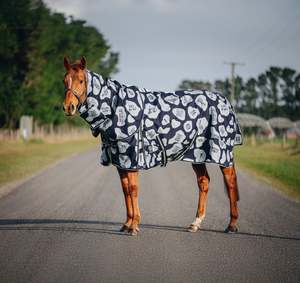 Pony Between Rugs: 1200D 100g Speech Bubble Combo (pony)