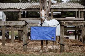 Accessories: Periwinkle Stable Guards