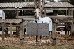 Accessories: Grey & Blue Stable Guards