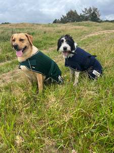 WickAway Navy Dog Coats