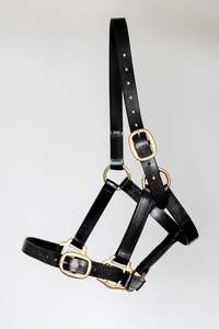 Halters Leads: Race Day Halter