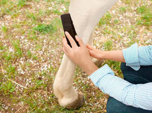 Grooming: 7 in 1 Massage Groomer