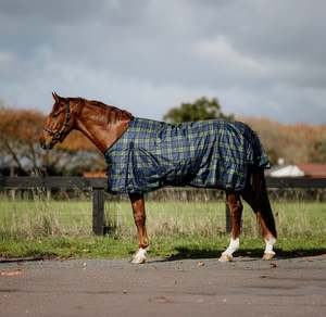 4 6ft Winter Rugs: 1680D 200g Green/Navy Tartan Detachable