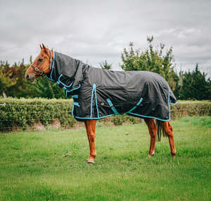 1680D 300g Black Combo (Pony)