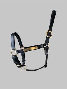 Accessories: Leather Halter with Brass Fittings Full