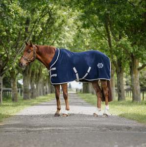 WickAway Navy Rug Only NZ 5.0