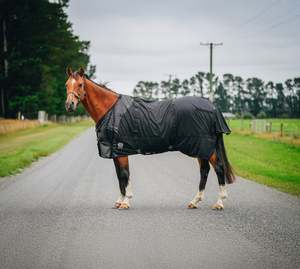 Therapy Rug NZ 4.0-4.6
