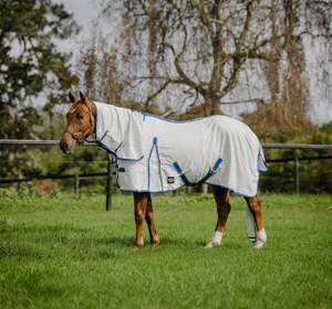 Horse Summer Rugs: Blue/Green Check Tail Bag Summer Combo
