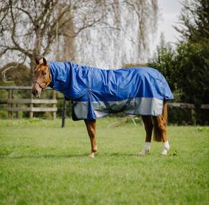 Horse Between Rugs: 1200D Cobalt Blue/Grey 100g Combo
