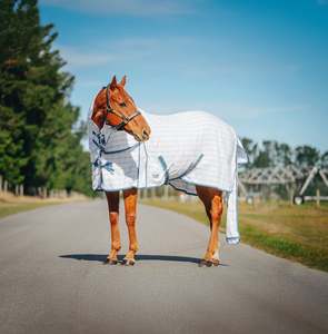 Horse Summer Rugs: Light Blue & Grey Check Summer w/ Tail Bag Rug Only
