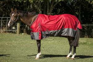 Horse Between Rugs: 1200D No Fill Red/Grey Rug Only