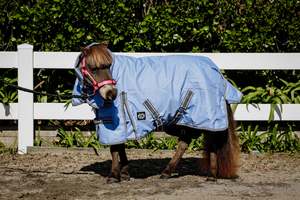 Pony Between Rugs: 1200D 100g Periwinkle Detach (Pony)
