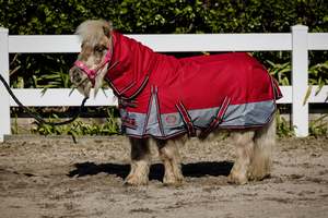 Pony Between Rugs: 1200D No Fill Red/Grey Combo (Pony) 2026