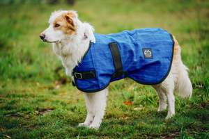 Dog Coats: Royal Blue Canvas Dog Coat Wool Lined