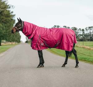 Horse Between Rugs: 1680D 100g Burgundy Detachable Set