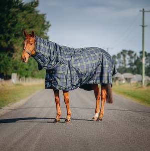 Horse Between Rugs: 1680D 100g Green/Navy Tartan Combo