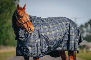 Horse Between Rugs: 1680D 100g Green/Navy Tartan Detachable Set