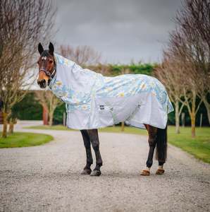 Horse Between Rugs: 1200D No Fill Mesh Sided Daisy Combo
