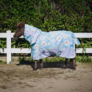 Pony Between Rugs: 1200D No Fill Mesh Sided Daisy Combo (Pony)