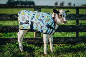 Calf Covers: 100g Kiwi Bird Calf Cover