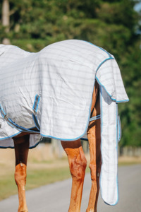 Horse Summer Rugs: Light Blue & Grey Check Summer Rug only w/ Tail Bag