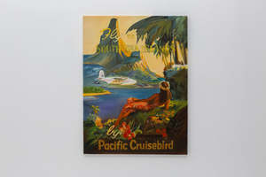 Ng%E1%BB%8Dc: Pacific Cruisebird