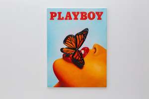 M%E1%BA%BFn: Butterfly