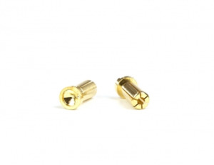 Cables Accessories: Gold Battery Bullets (2) | Low Profile | 5mm