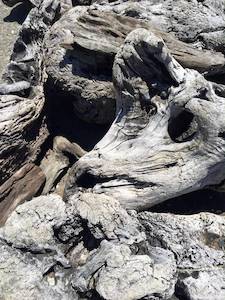 Products: Driftwood