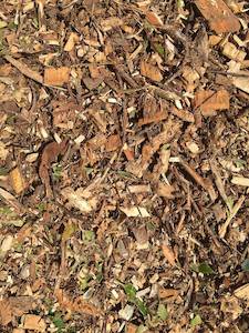 Products: Wood Chip (Tree Mulch)