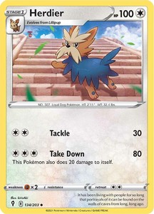 Pokemon Tcg Sword Shield Evolving Skies Singles: Herdier (134/203) [Sword & Shield: Evolving Skies]