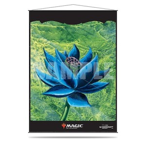 Other Accessories: MTG Wall Scroll