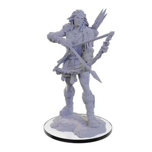 Pathfinder Deep Cuts Miniatures: Wood Giant