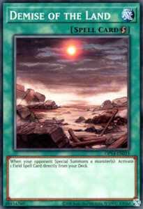 Yugioh Singles: Demise of the Land [OP14-EN019] Common
