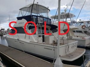 Products: Caribbean / Bertram 40 Flybridge Cruiser 2009 • Caribbean Boats (NZ)
