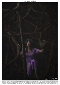 The High Priestess, Tarot Major Arcana Series